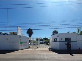 255 平米 Office for rent in Campeche, Carmen, Campeche