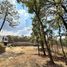  Land for sale in Morelia, Michoacan, Morelia, Michoacan