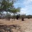  Terreno (Parcela) en venta en La Paz, Baja California Sur, La Paz, Baja California Sur