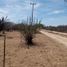  Terreno (Parcela) en venta en La Paz, Baja California Sur, La Paz, Baja California Sur