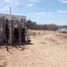  Terreno (Parcela) en venta en La Paz, Baja California Sur, La Paz, Baja California Sur