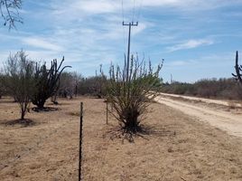  Terreno (Parcela) en venta en La Paz, Baja California Sur, La Paz, Baja California Sur