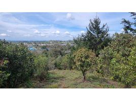  Land for sale in Rionegro, Antioquia, Rionegro