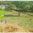  Land for sale in Sopetran, Antioquia, Sopetran