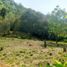  Land for sale in Sopetran, Antioquia, Sopetran