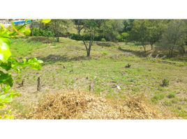  Land for sale in Sopetran, Antioquia, Sopetran