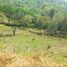  Land for sale in Sopetran, Antioquia, Sopetran