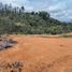  Land for sale in San Vicente, Antioquia, San Vicente