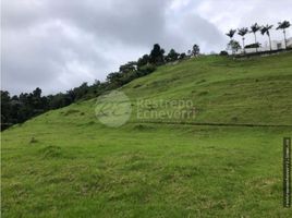  Terreno (Parcela) en venta en Manizales, Caldas, Manizales