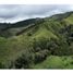  Land for sale in Abejorral, Antioquia, Abejorral
