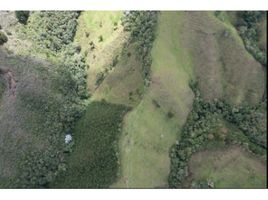  Land for sale in Abejorral, Antioquia, Abejorral