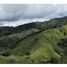 Land for sale in Abejorral, Antioquia, Abejorral