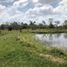  Land for sale in Monteria, Cordoba, Monteria