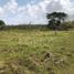  Land for sale in Monteria, Cordoba, Monteria