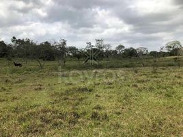  Land for sale in Monteria, Cordoba, Monteria