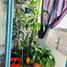3 Schlafzimmer Appartement zu verkaufen in Quilmes, Buenos Aires, Quilmes
