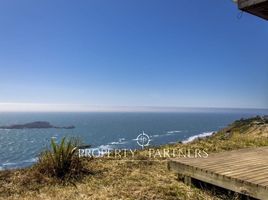  Land for sale in Navidad, Cardenal Caro, Navidad