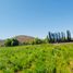  Land for sale in Palmilla, Colchagua, Palmilla