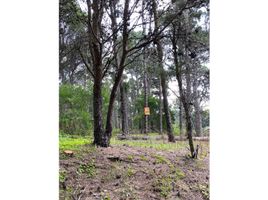  Land for sale in Villa Gesell, Buenos Aires, Villa Gesell