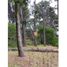  Land for sale in Villa Gesell, Buenos Aires, Villa Gesell