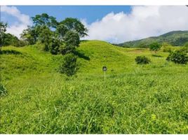  Terrain for sale in San Jeronimo, Antioquia, San Jeronimo