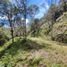 Terrain à vendre à Rionegro, Antioquia, Rionegro, Antioquia