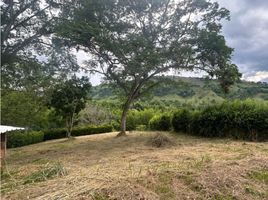  Land for sale in Filadelfia, Caldas, Filadelfia