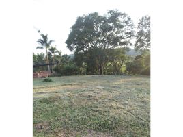  Land for sale in Filadelfia, Caldas, Filadelfia