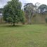  Land for sale in San Carlos, Antioquia, San Carlos, Antioquia, Colombia