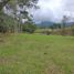  Terrain for sale in San Carlos, Antioquia, San Carlos