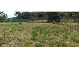  Terreno (Parcela) en venta en Rionegro, Antioquia, Rionegro, Antioquia