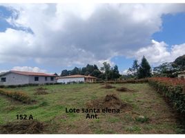  Terreno (Parcela) en venta en Maceo, Antioquia, Maceo