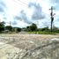  Grundstück zu verkaufen in Tuxpan, Veracruz, Tuxpan