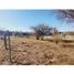  Land for sale in Punilla, Cordoba, Punilla