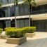 36 m2 Office for rent in Morelos, Cuernavaca, Morelos