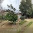 3 chambre Maison for sale in Maule, Curico, Curico, Maule