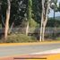  Land for sale in Tapachula, Chiapas, Tapachula