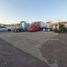  Land for rent in Culiacan, Sinaloa, Culiacan