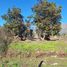  Land for sale in Buin, Maipo, Buin