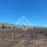  Terreno (Parcela) en venta en Maipo, Santiago, Buin, Maipo