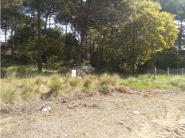  Land for sale in Pinamar, Buenos Aires, Pinamar