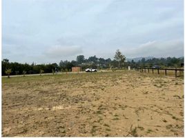  Land for sale in Rionegro, Antioquia, Rionegro