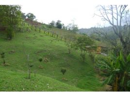  Terreno (Parcela) en venta en Marinilla, Antioquia, Marinilla