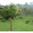  Terrain for sale in Marinilla, Antioquia, Marinilla