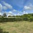  Land for sale in Turbaco, Bolivar, Turbaco, Bolivar