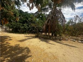在Baja California Sur出售的 土地, La Paz, Baja California Sur