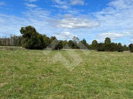  Terrain for sale in Frutillar, Llanquihue, Frutillar