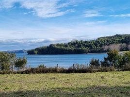  Terreno (Parcela) en venta en Chiloé, Los Lagos, Queilen, Chiloé