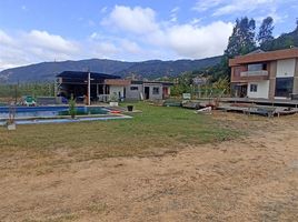 4 Habitación Casa en venta en Rauco, Curicó, Rauco