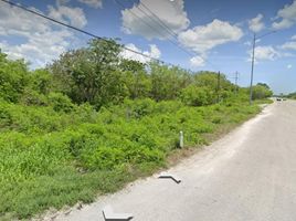  Land for sale in Merida, Yucatan, Merida, Yucatan